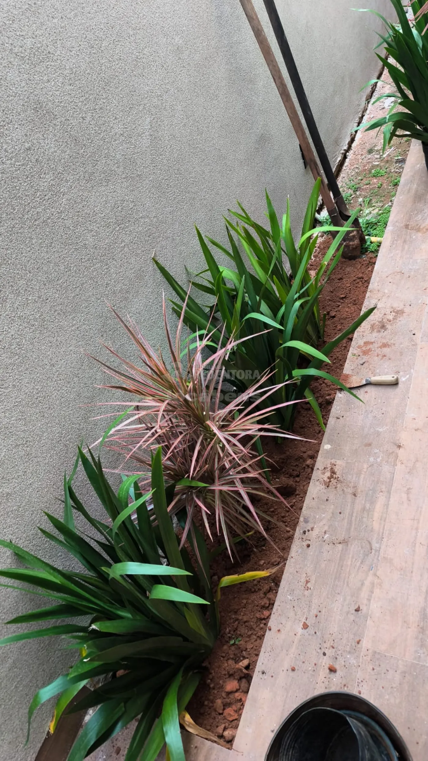 Comprar Casa / Condom&iacute;nio em S&atilde;o Jos&eacute; do Rio Preto R$ 1.580.000,00 - Foto 11