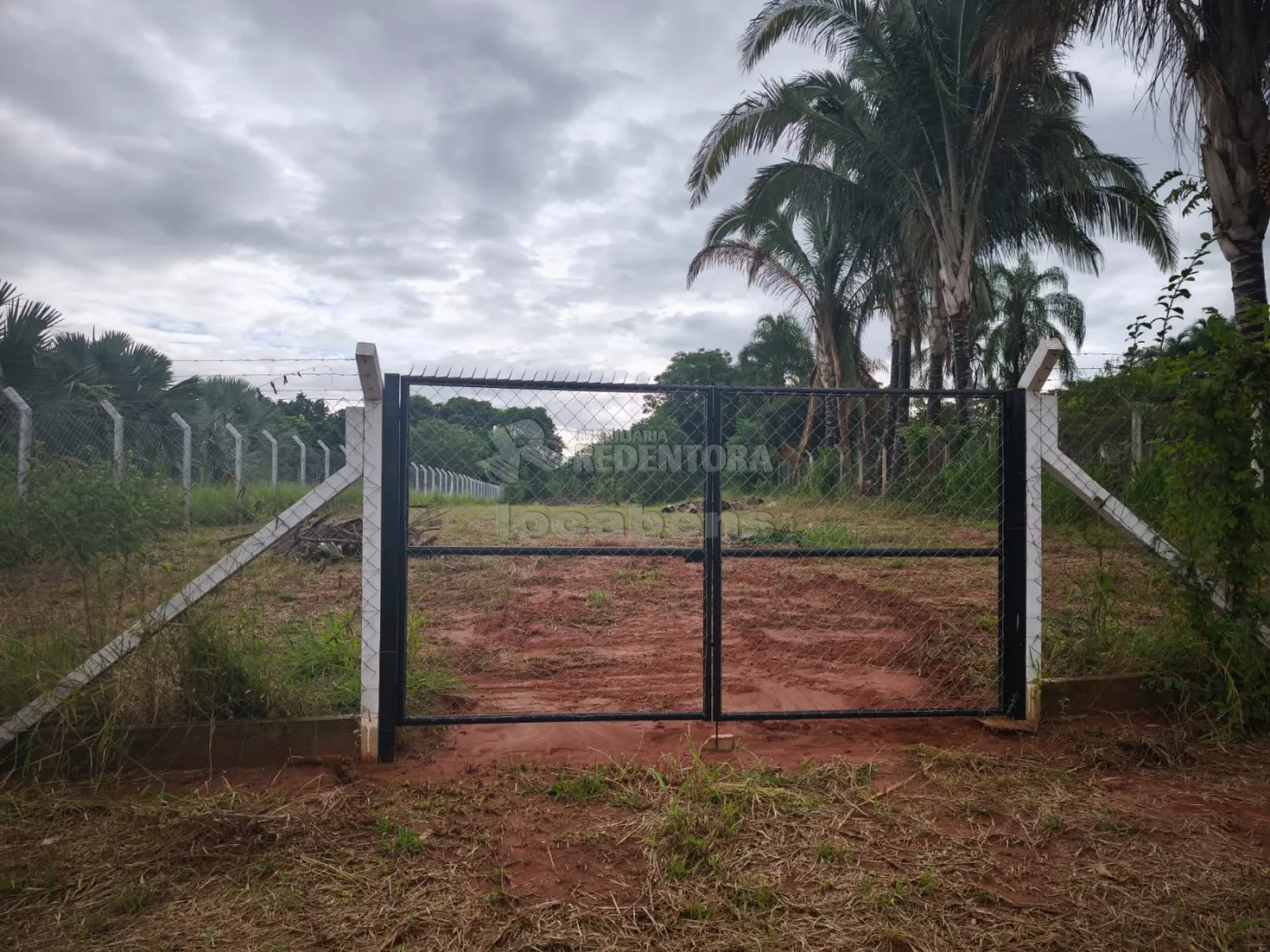 Comprar Rural / Ch&aacute;cara em Bady Bassitt R$ 230.000,00 - Foto 4