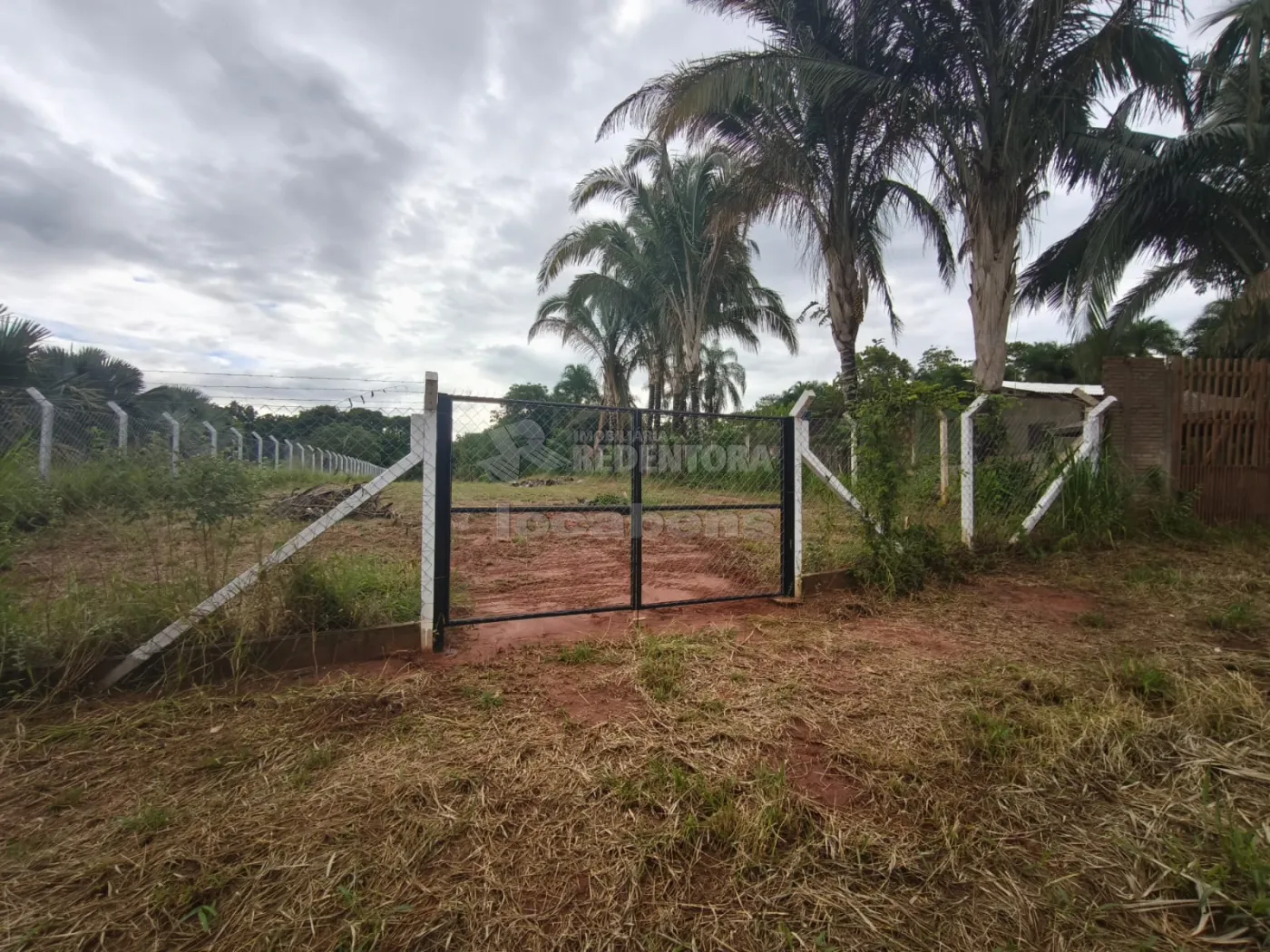 Comprar Rural / Ch&aacute;cara em Bady Bassitt R$ 230.000,00 - Foto 5