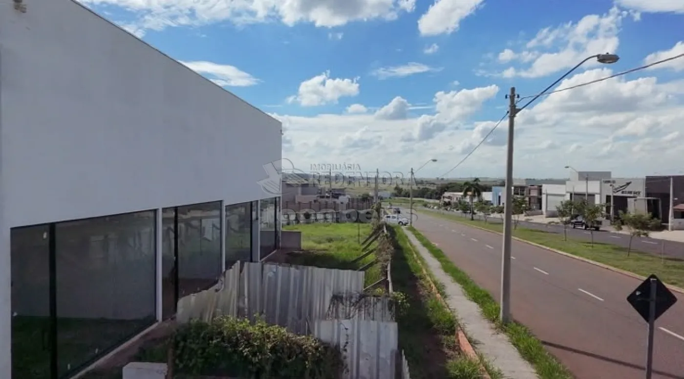 Comprar Terreno / &Aacute;rea em Mirassol R$ 2.300.000,00 - Foto 11