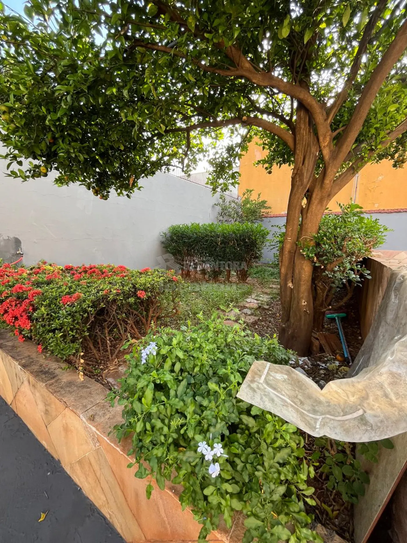 Comprar Casa / Padr&atilde;o em S&atilde;o Jos&eacute; do Rio Preto R$ 500.000,00 - Foto 14