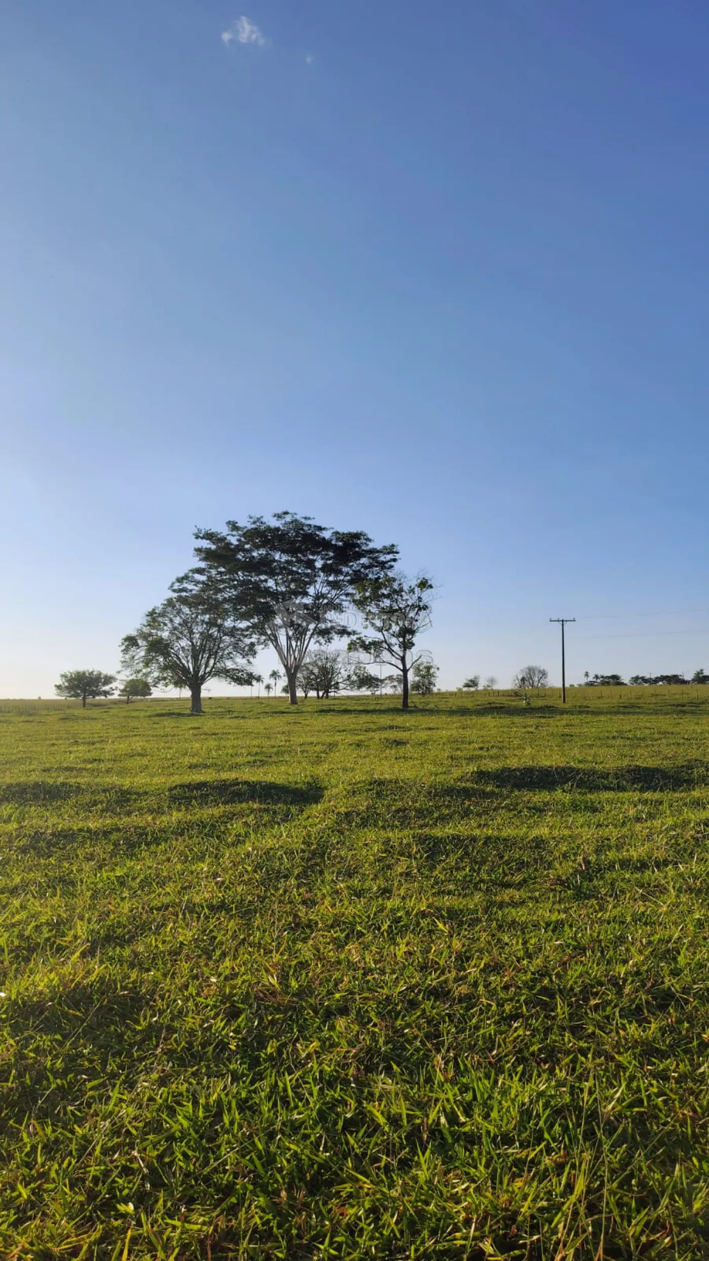 Fazenda / Sítio / Chácara com 3 quartos à venda, 300m² — foto 26 de 34