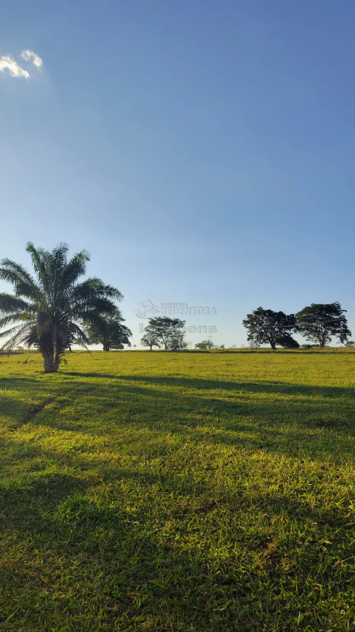 Fazenda / Sítio / Chácara com 3 quartos à venda, 300m² — foto 3 de 34