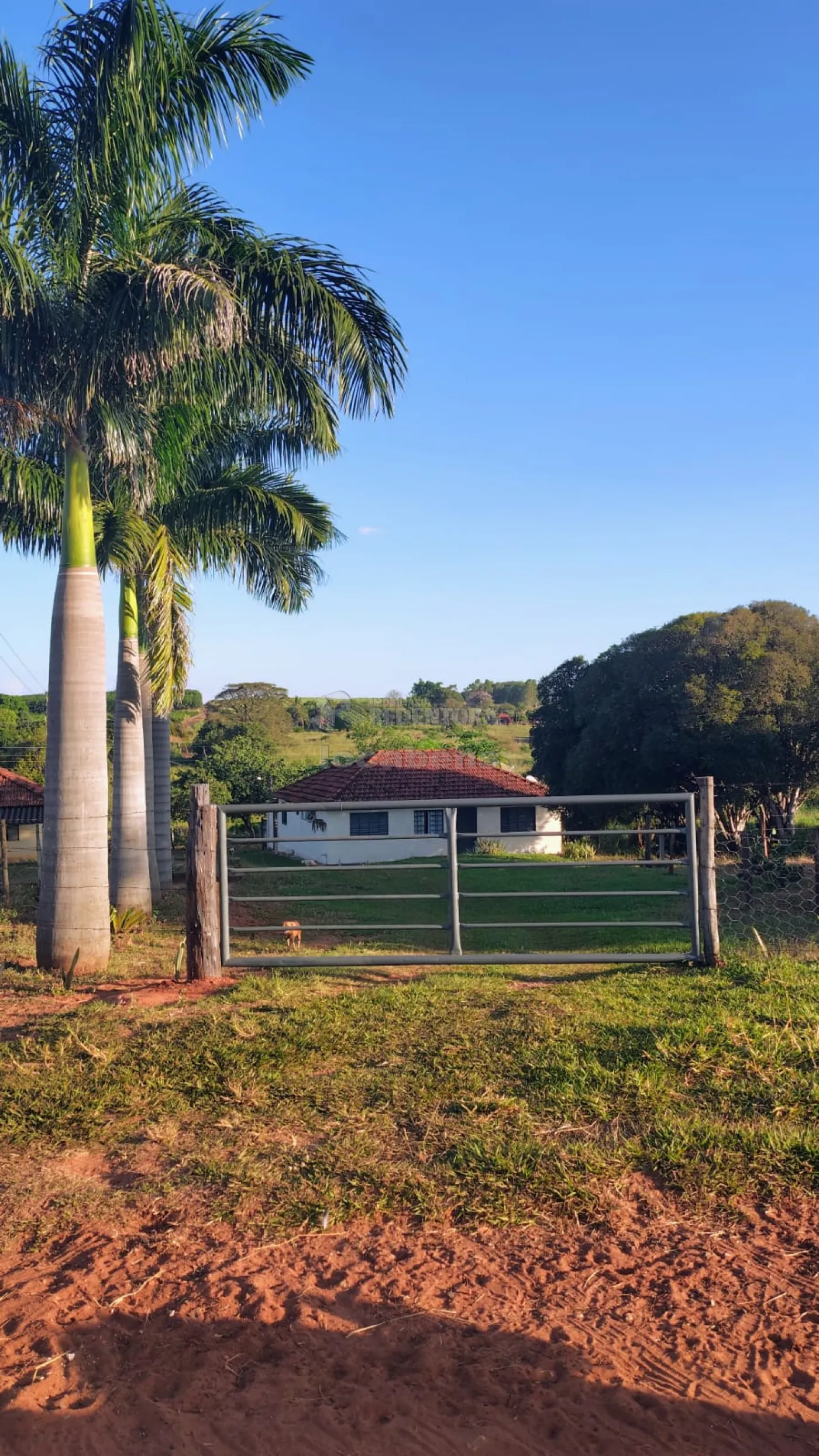 Fazenda / Sítio / Chácara com 3 quartos à venda, 300m² — foto 2 de 34