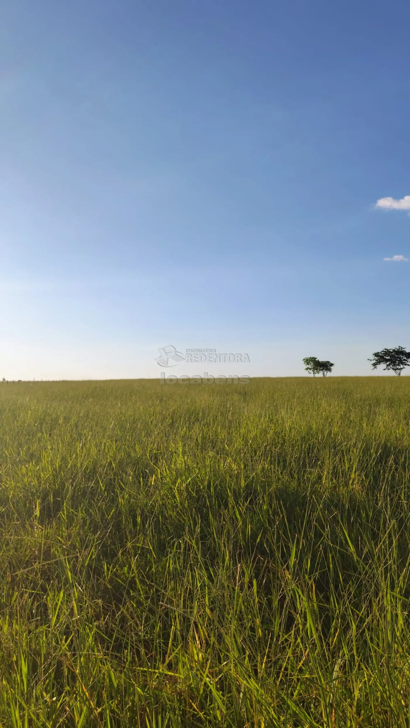 Fazenda / Sítio / Chácara com 3 quartos à venda, 300m² — foto 31 de 34