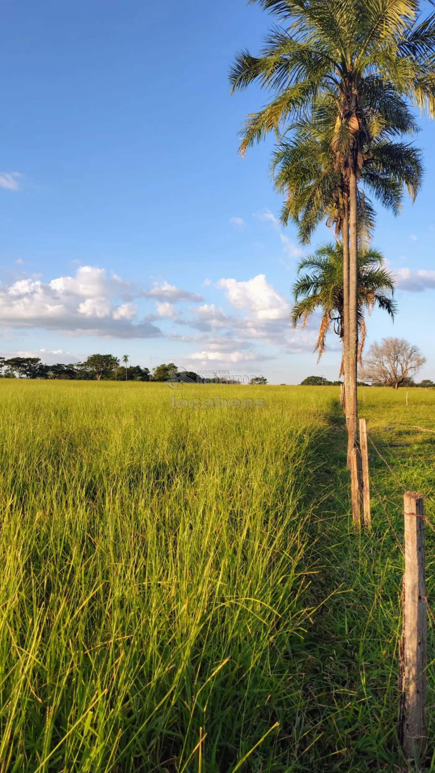 Fazenda / Sítio / Chácara com 3 quartos à venda, 300m² — foto 32 de 34