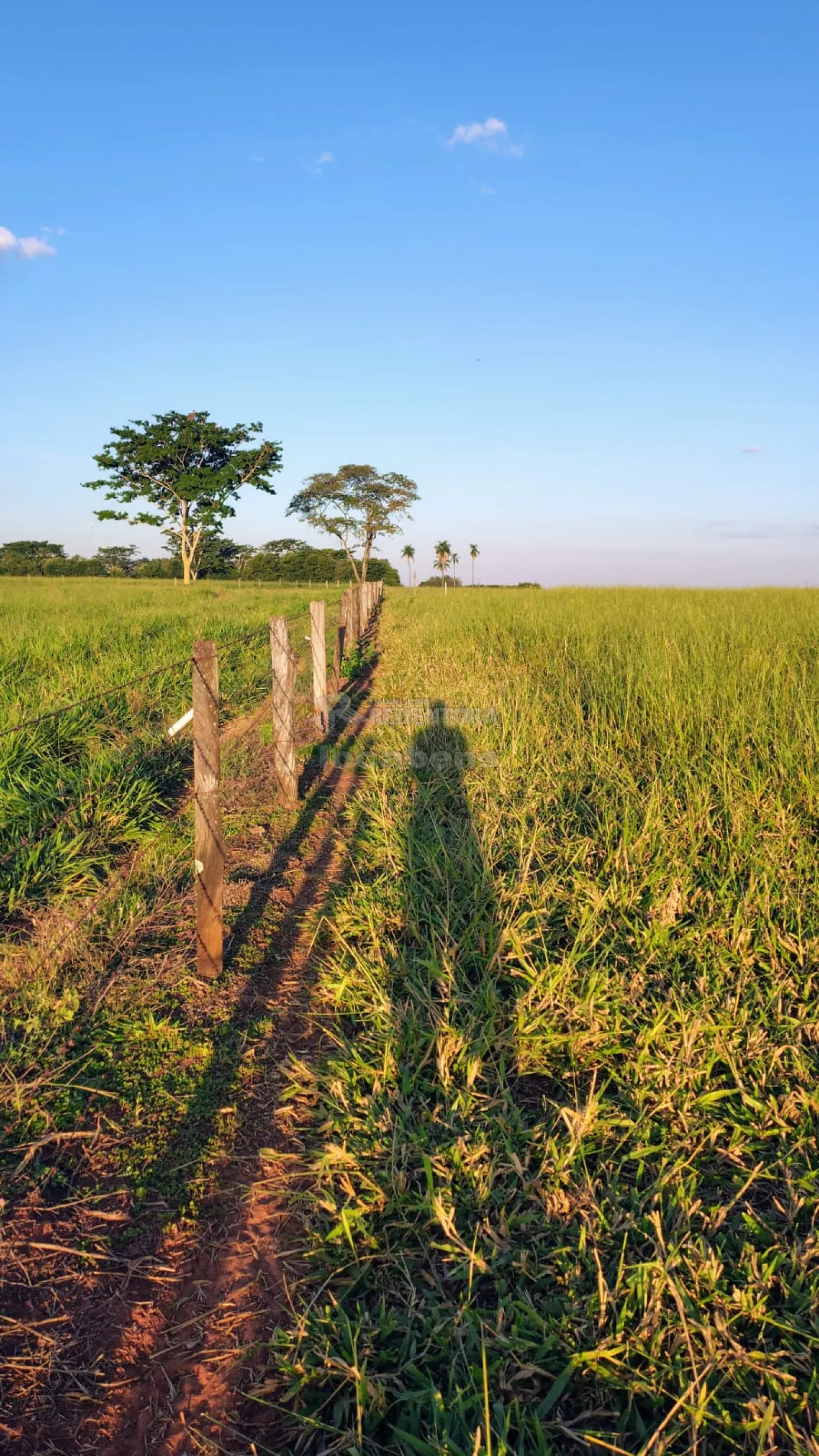 Fazenda / Sítio / Chácara com 3 quartos à venda, 300m² — foto 29 de 34