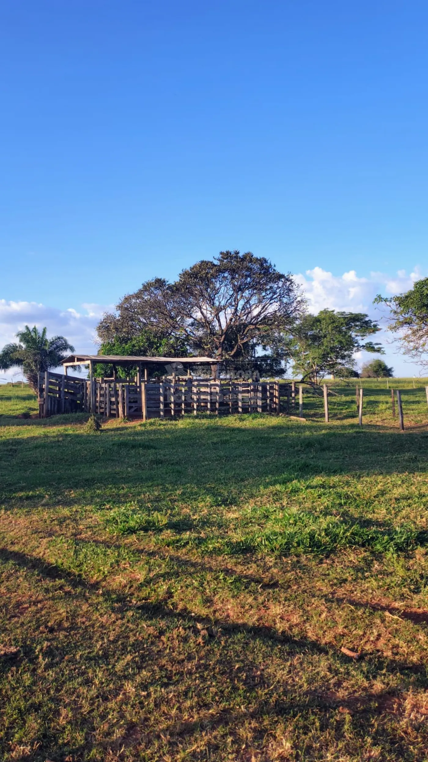 Fazenda / Sítio / Chácara com 3 quartos à venda, 300m² — foto 30 de 34