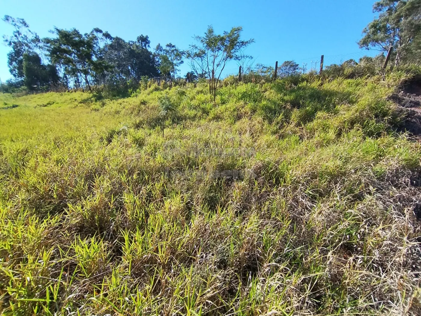 Comprar Terreno / Padr&atilde;o em S&atilde;o Jos&eacute; do Rio Preto R$ 110.000,00 - Foto 7