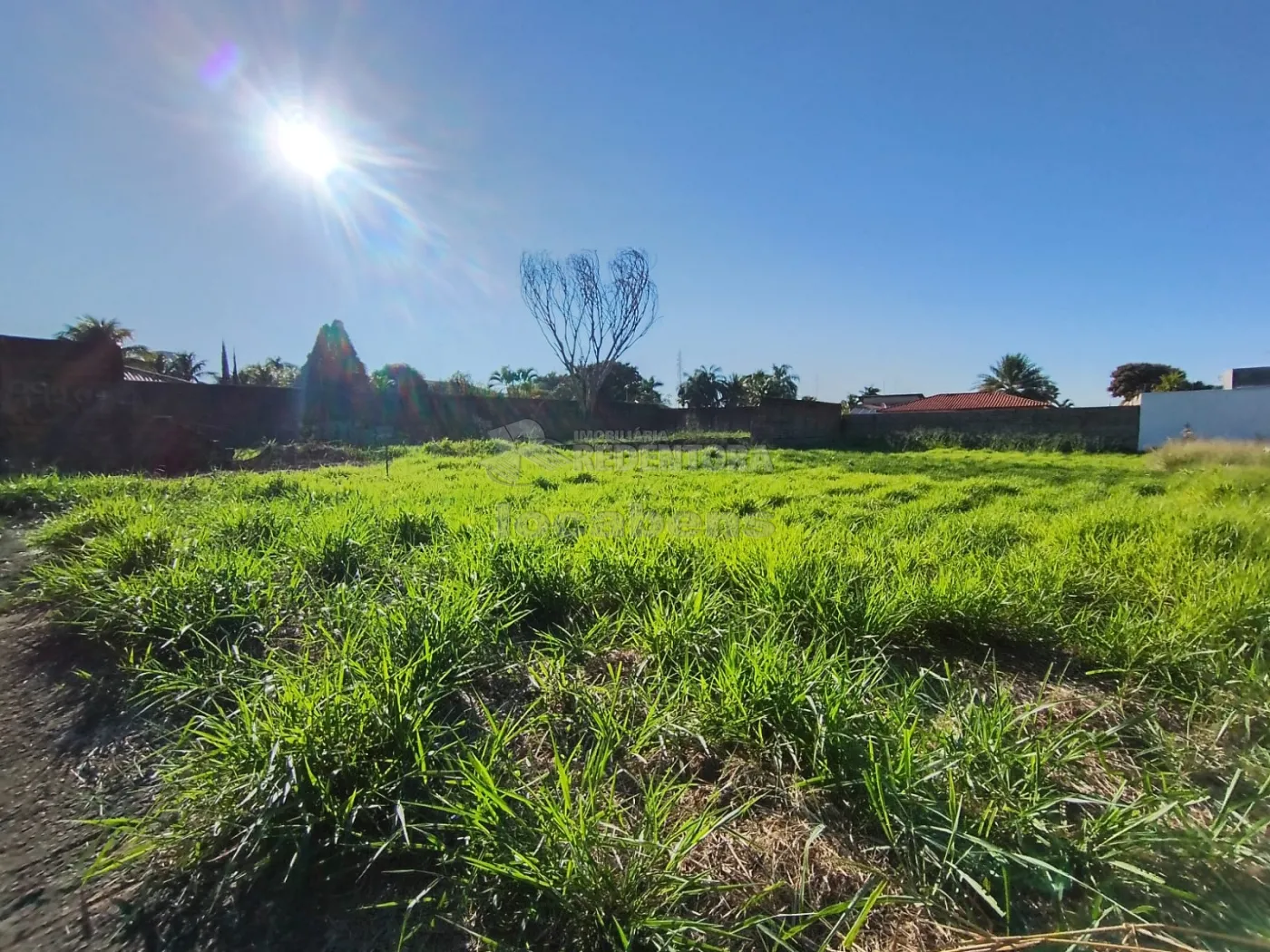 Comprar Terreno / &Aacute;rea em S&atilde;o Jos&eacute; do Rio Preto R$ 600.000,00 - Foto 4