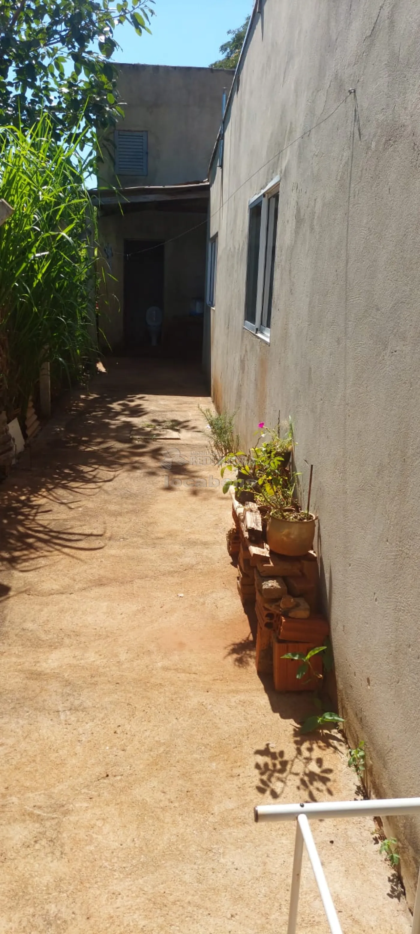 Chácara, 3 quartos, 1250 m² - Foto 3