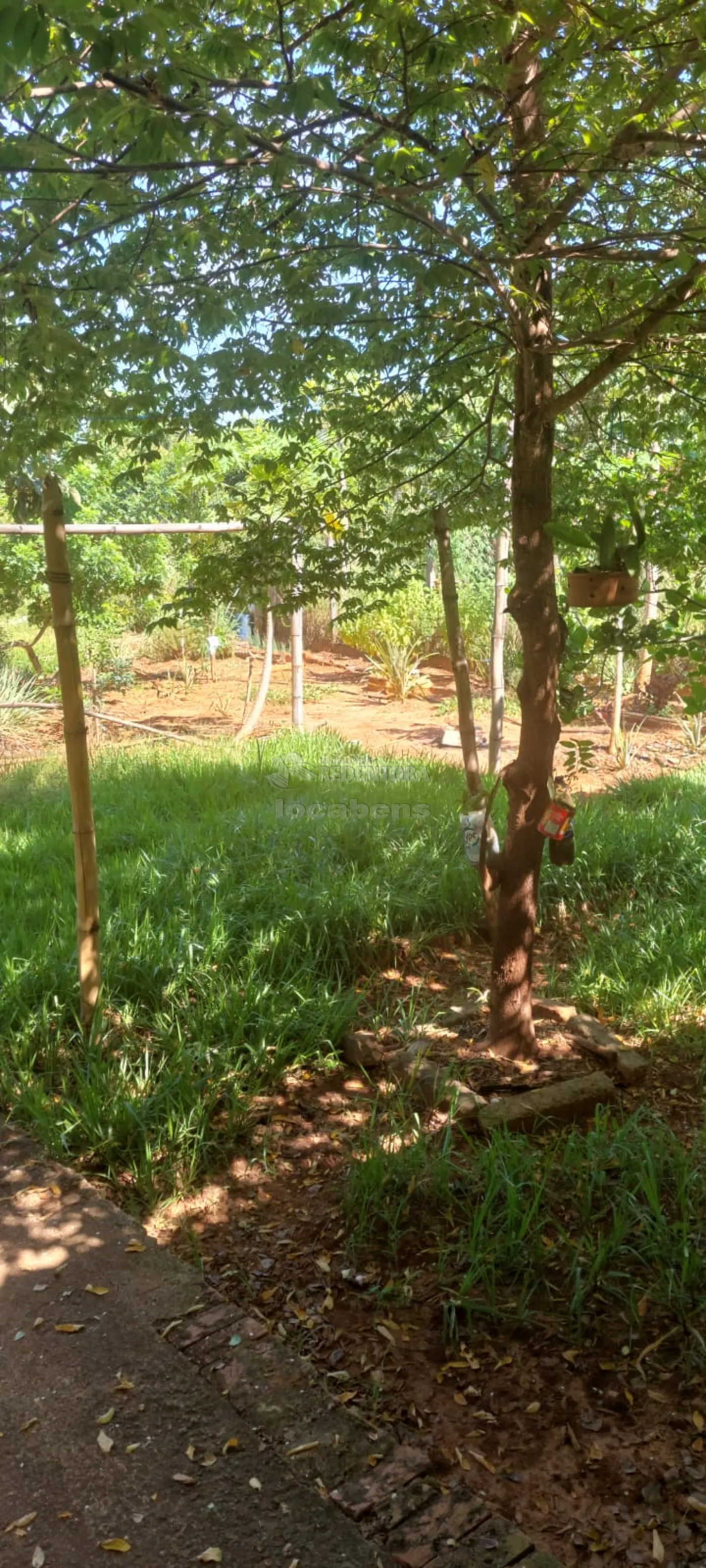 Chácara, 3 quartos, 1250 m² - Foto 4