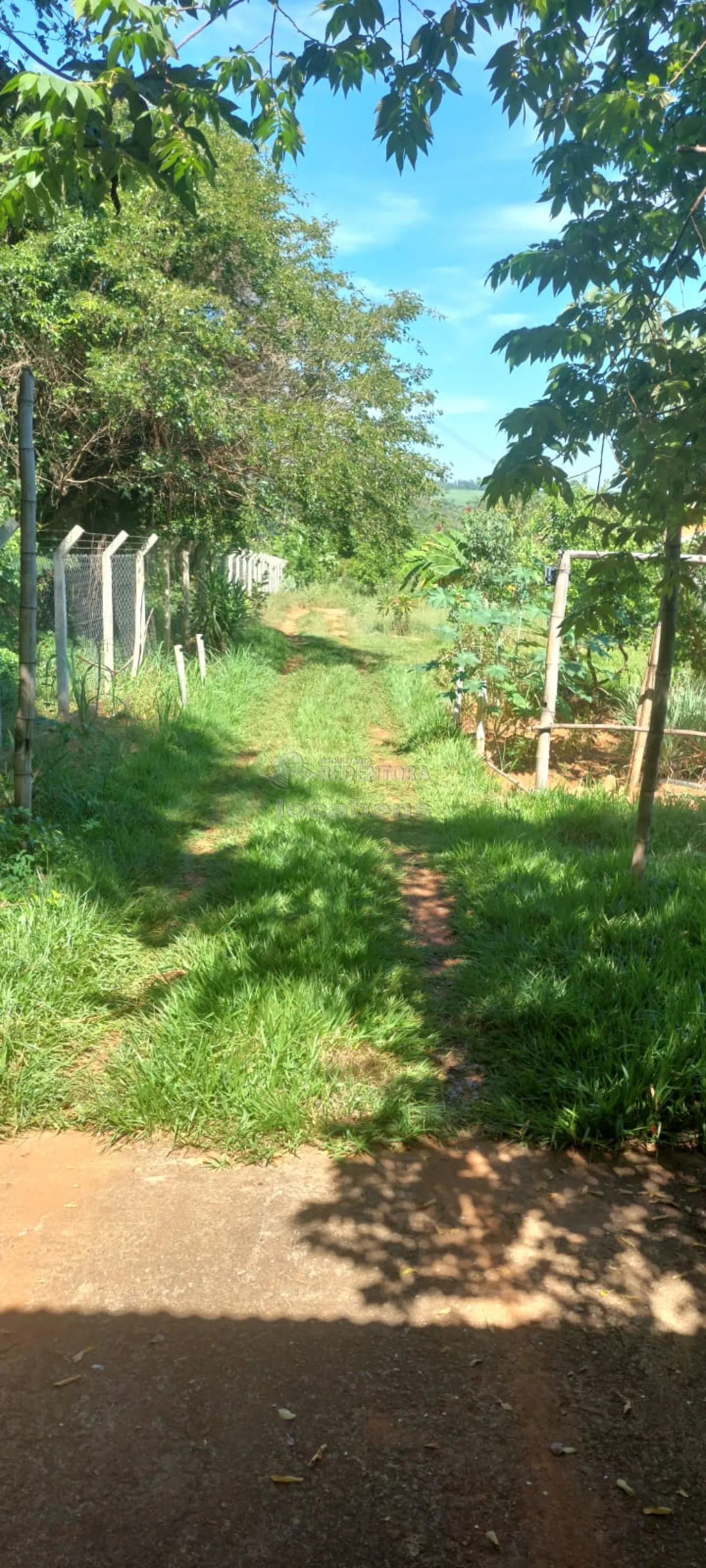 Chácara, 3 quartos, 1250 m² - Foto 5