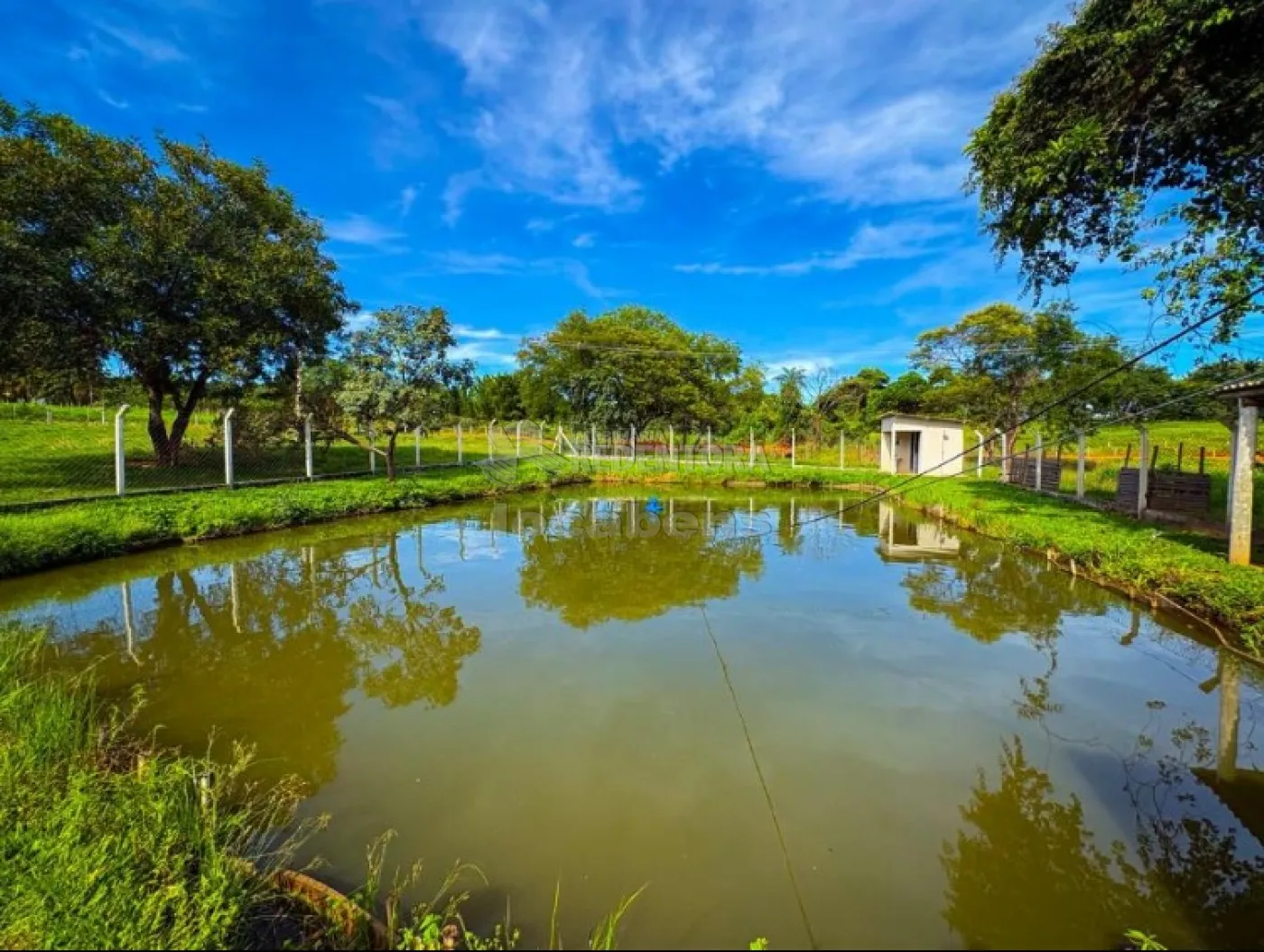 Sítio, 6 quartos, 4 hectares - Foto 1