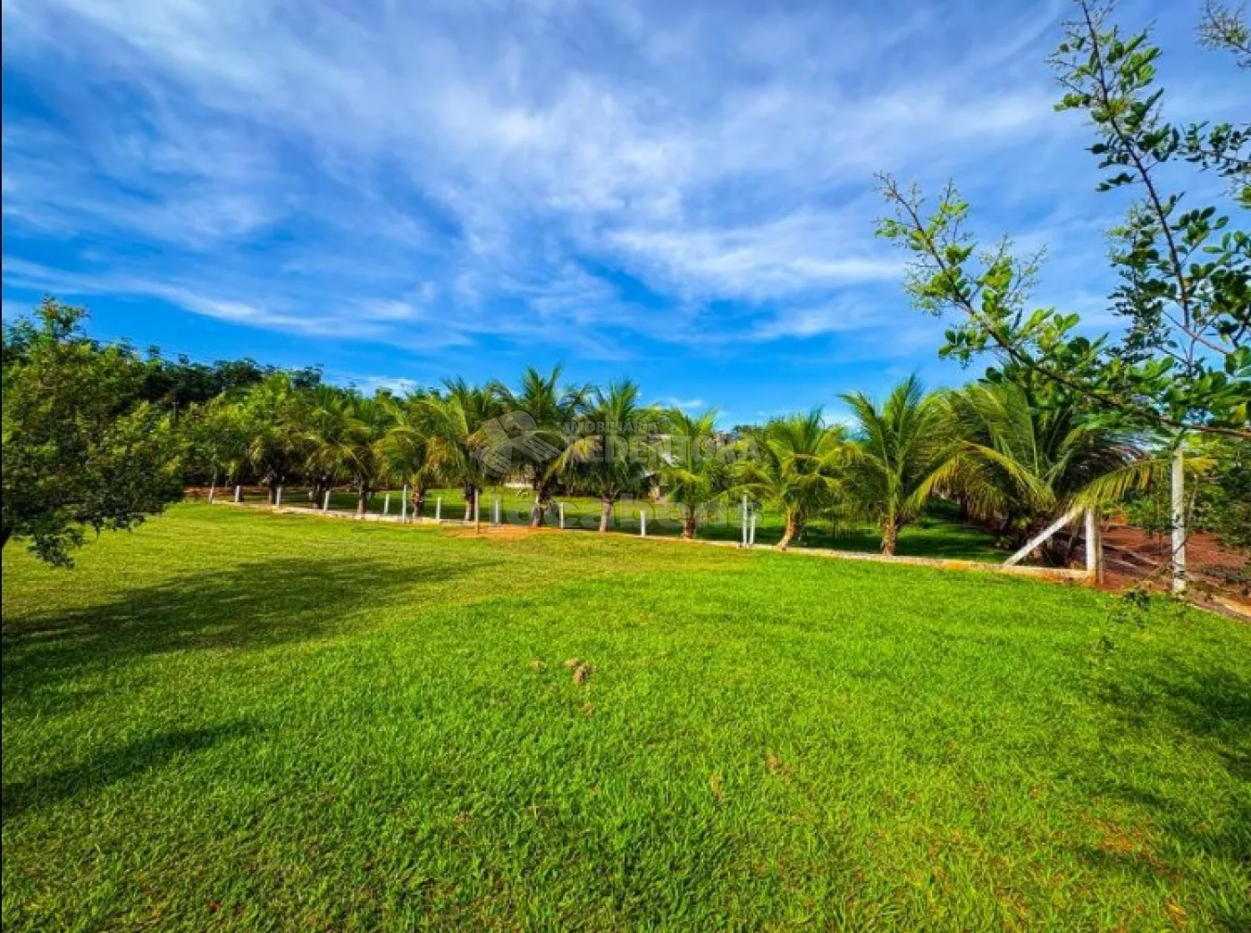 Sítio, 6 quartos, 4 hectares - Foto 3