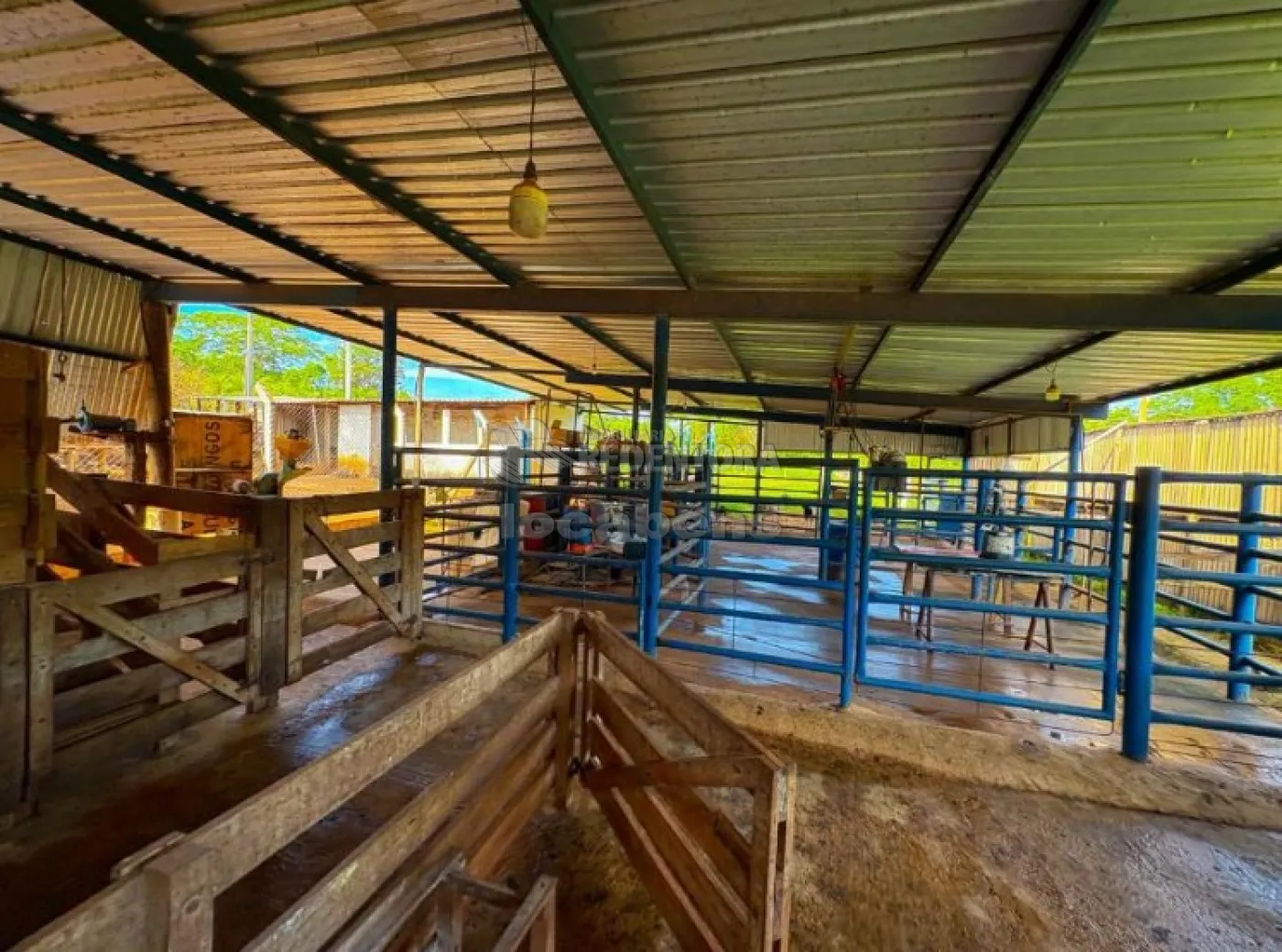 Sítio, 6 quartos, 4 hectares - Foto 4