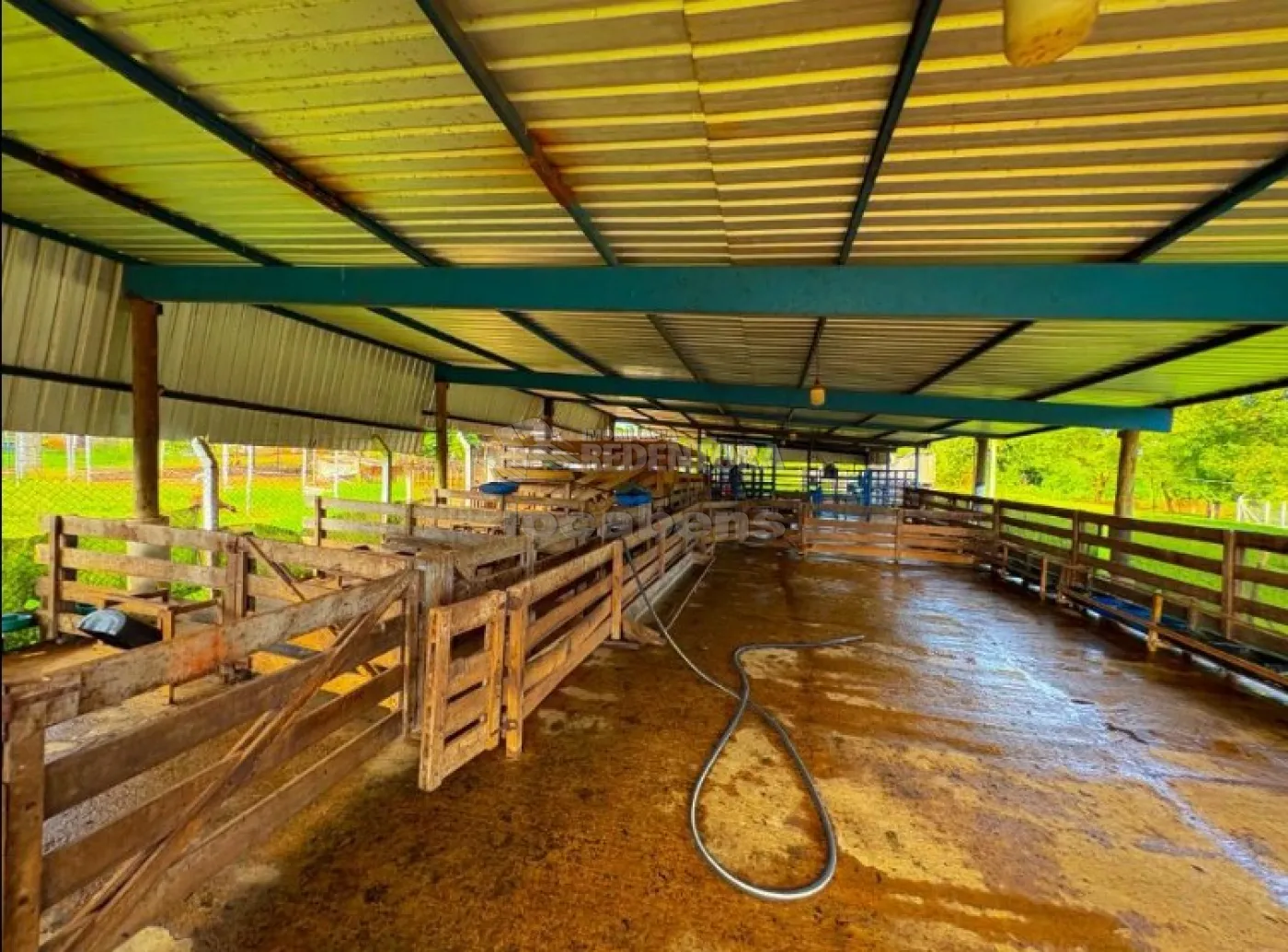 Sítio, 6 quartos, 4 hectares - Foto 5