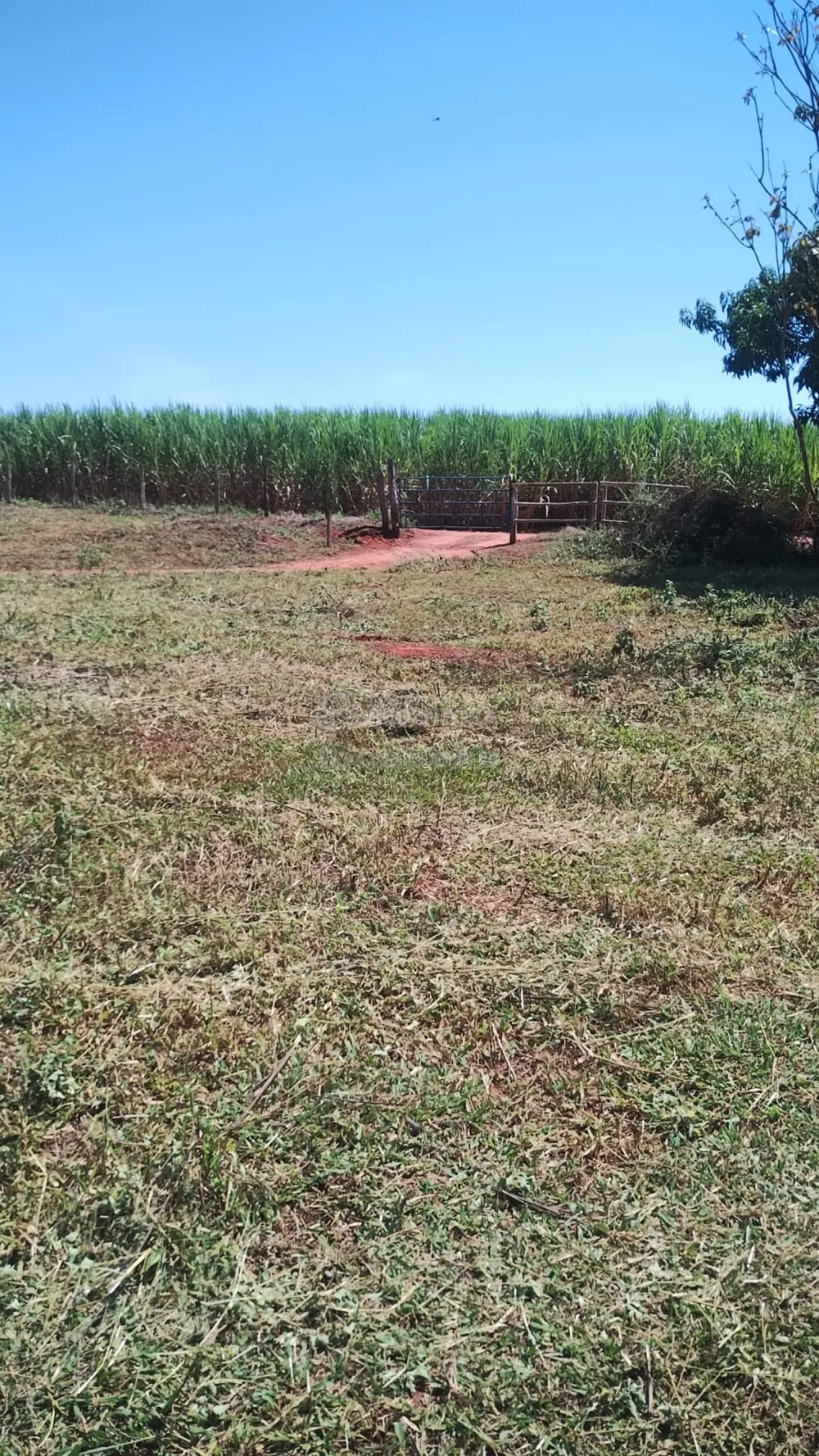 Fazenda, 7 hectares - Foto 21
