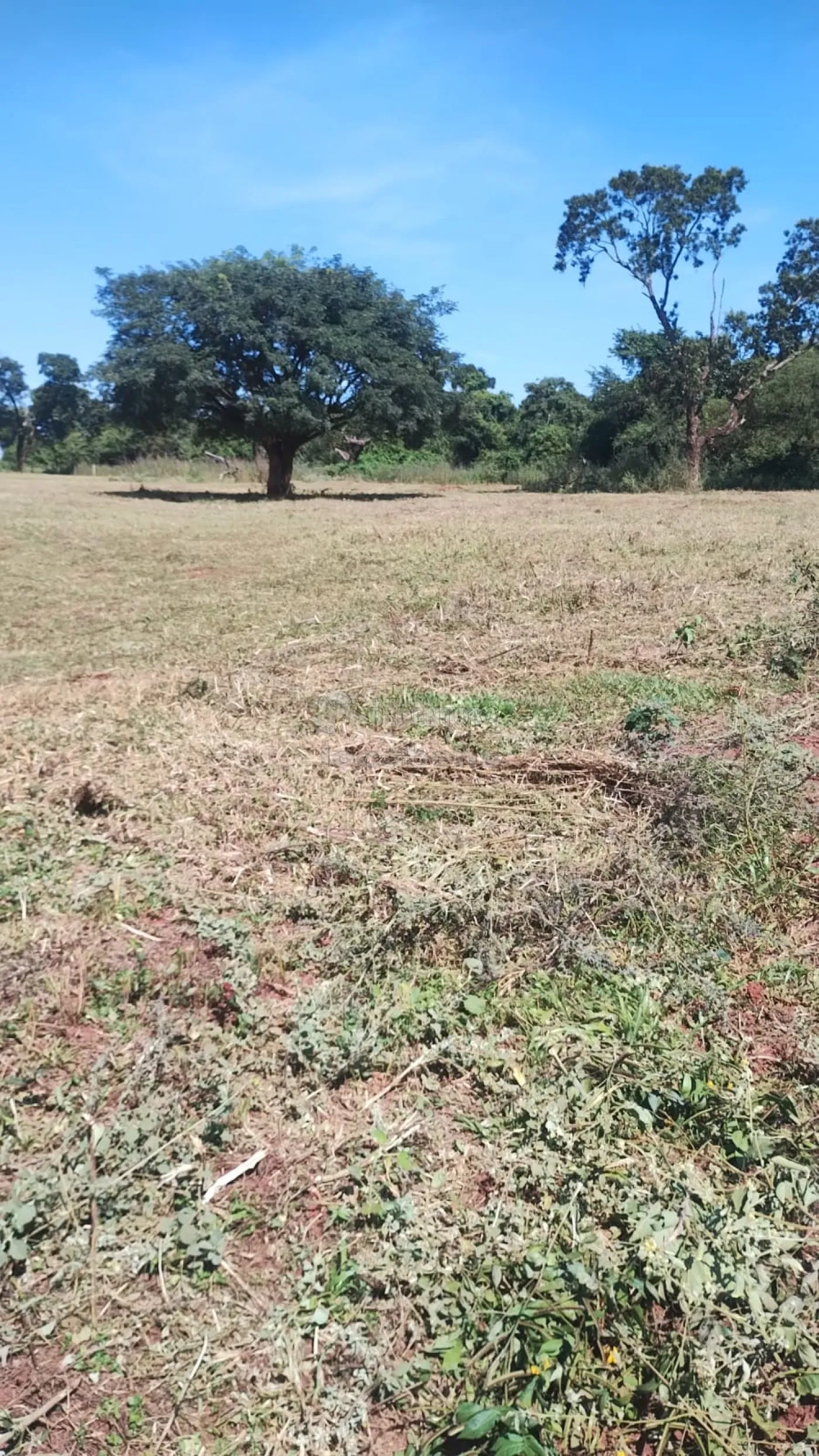 Fazenda, 7 hectares - Foto 22