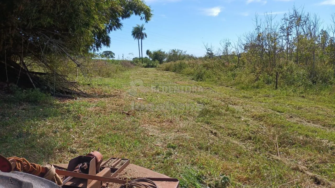 Fazenda, 7 hectares - Foto 6