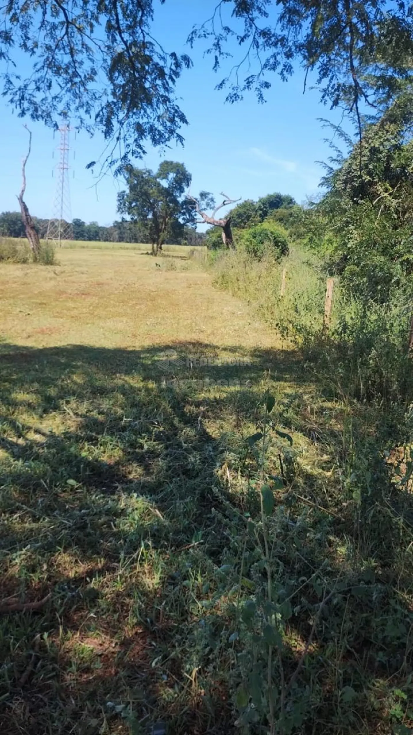 Fazenda, 7 hectares - Foto 20