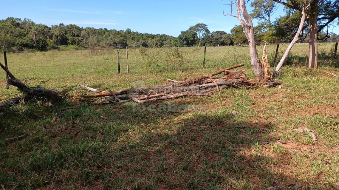 Fazenda, 7 hectares - Foto 11