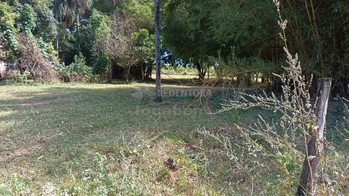 Fazenda, 7 hectares - Foto 15