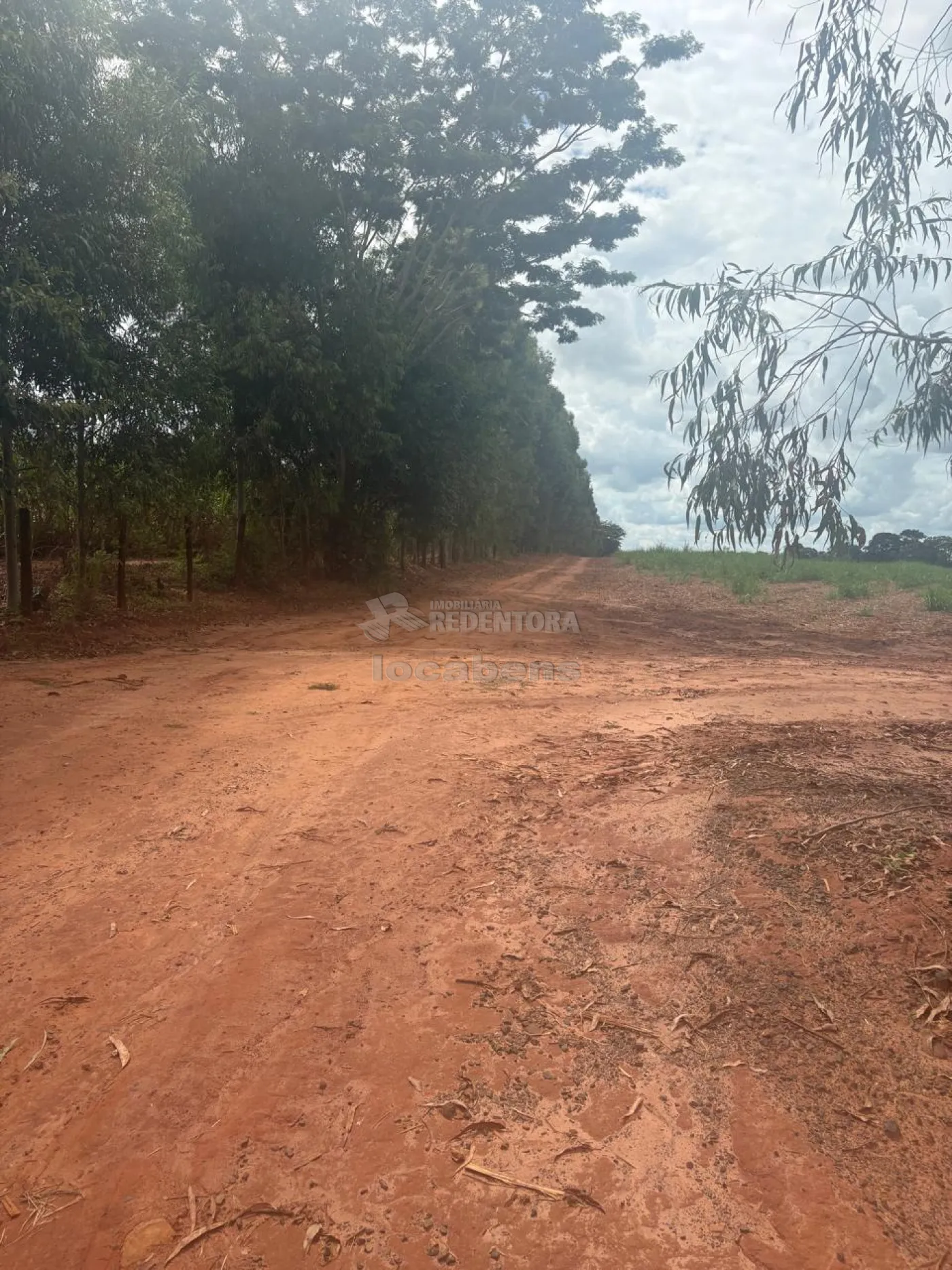 Fazenda, 7 hectares - Foto 30