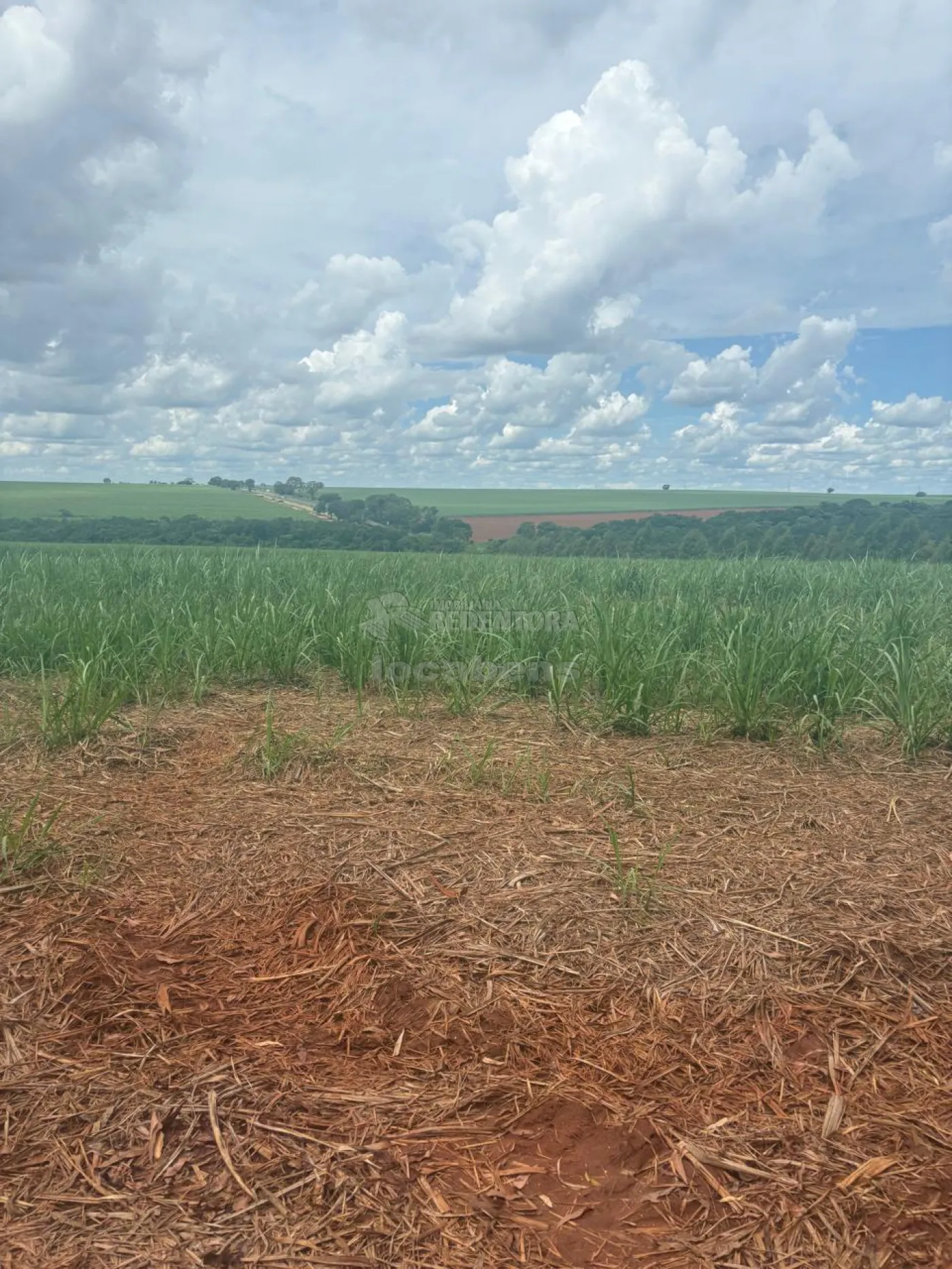 Fazenda, 7 hectares - Foto 31