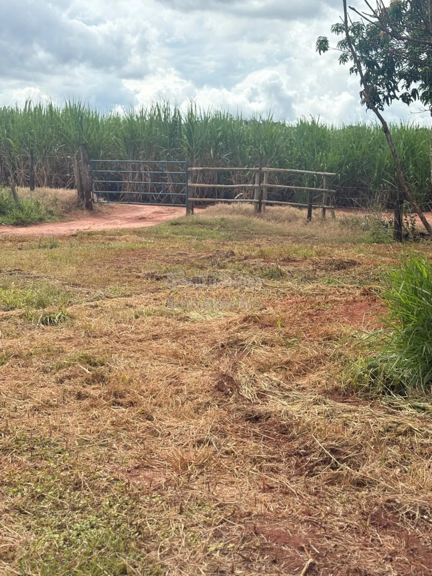 Fazenda, 7 hectares - Foto 35