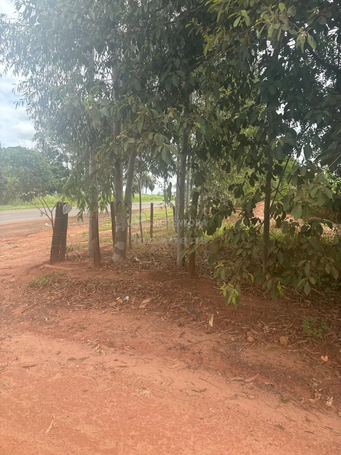 Fazenda, 7 hectares - Foto 39