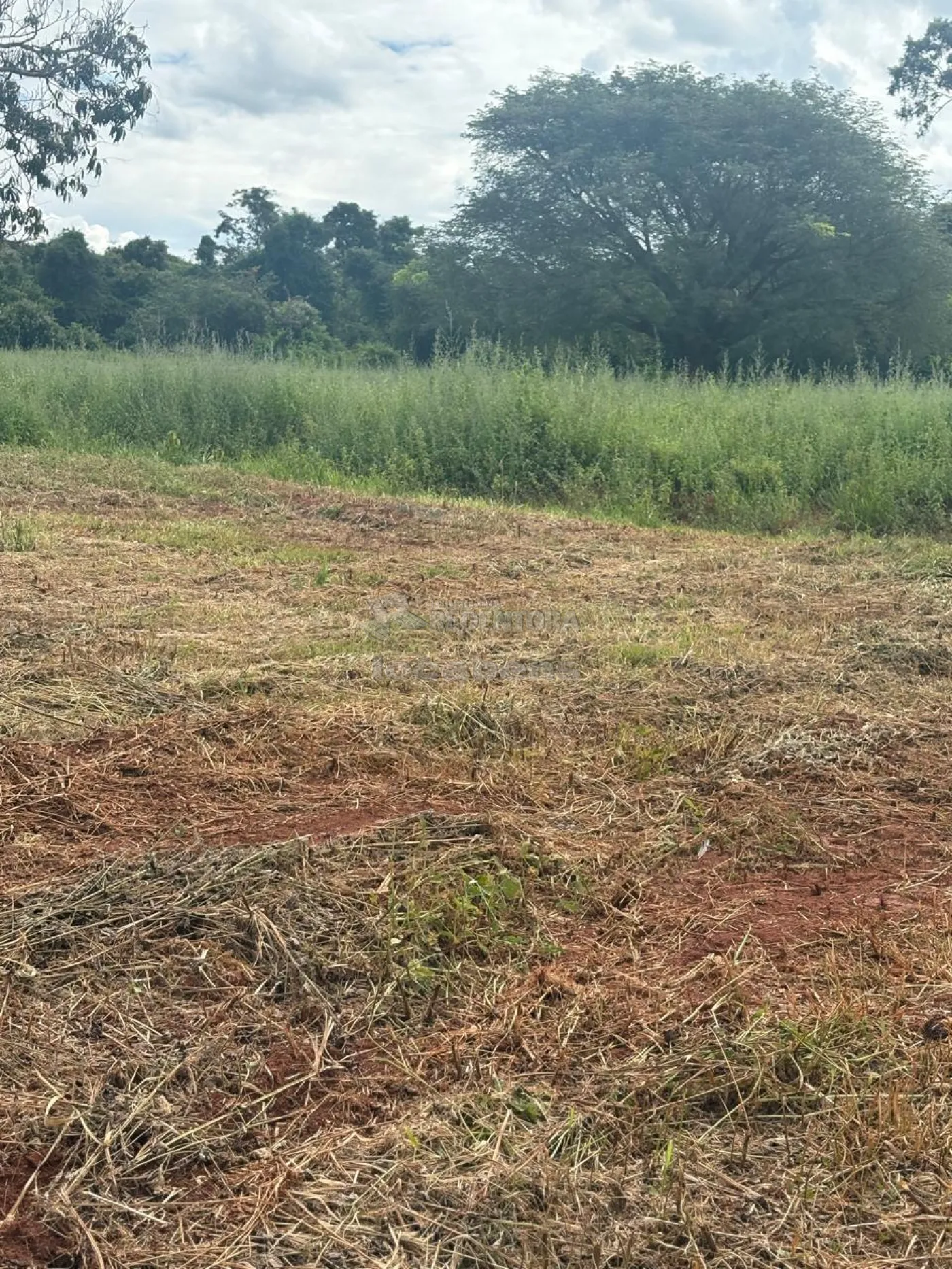 Fazenda, 7 hectares - Foto 44