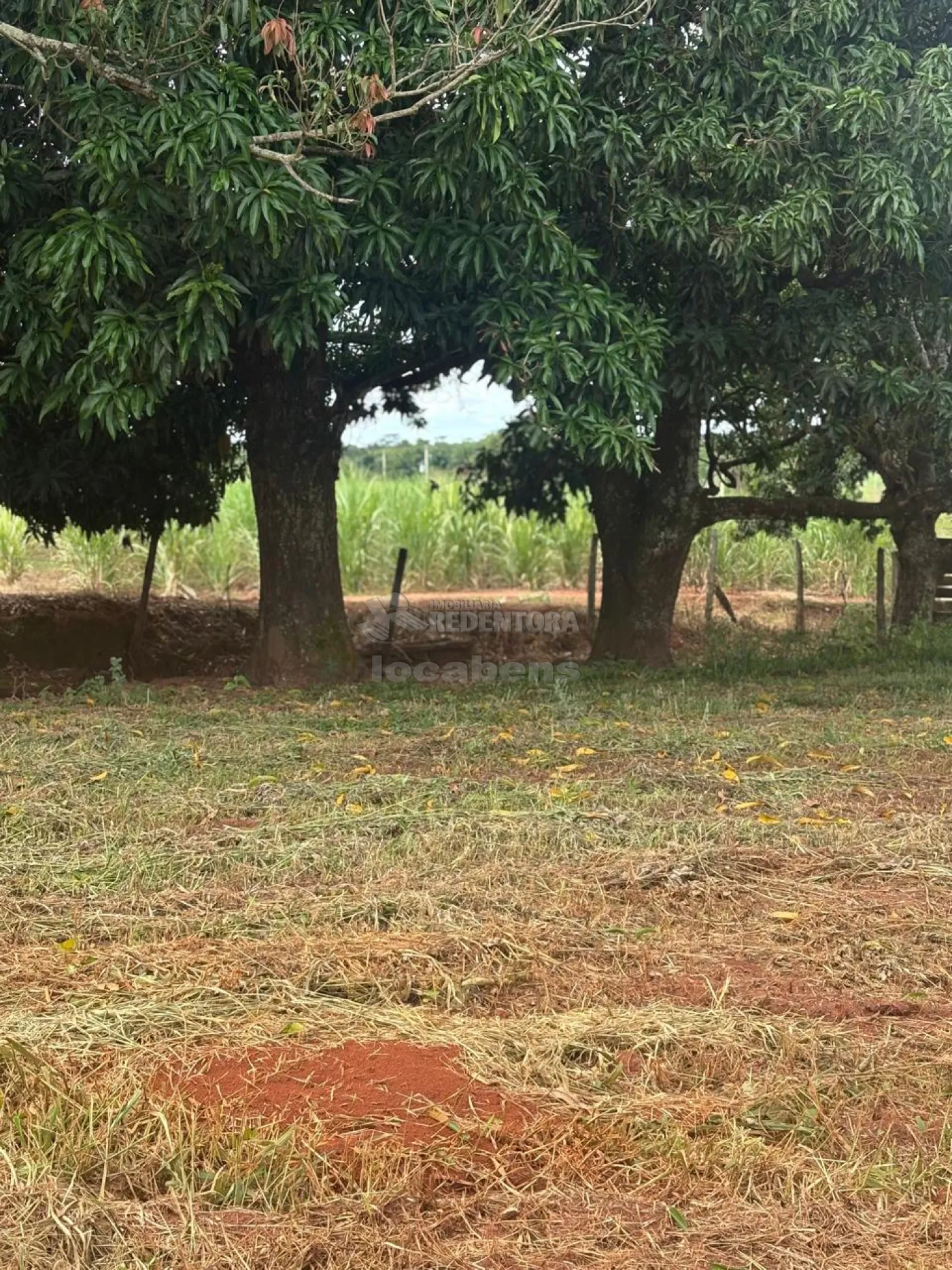 Fazenda, 7 hectares - Foto 45