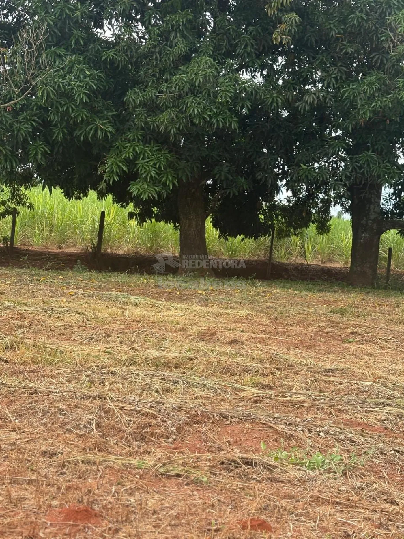 Fazenda, 7 hectares - Foto 47