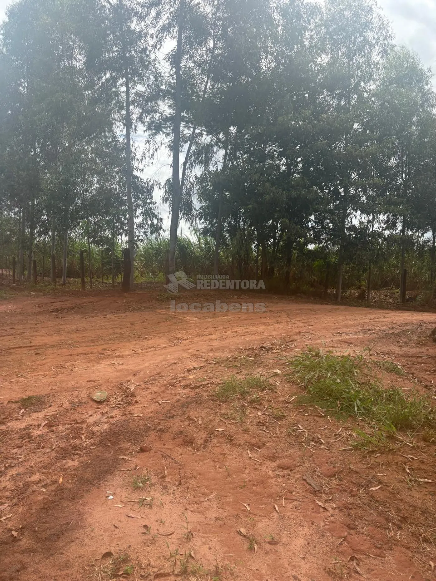 Fazenda, 7 hectares - Foto 57