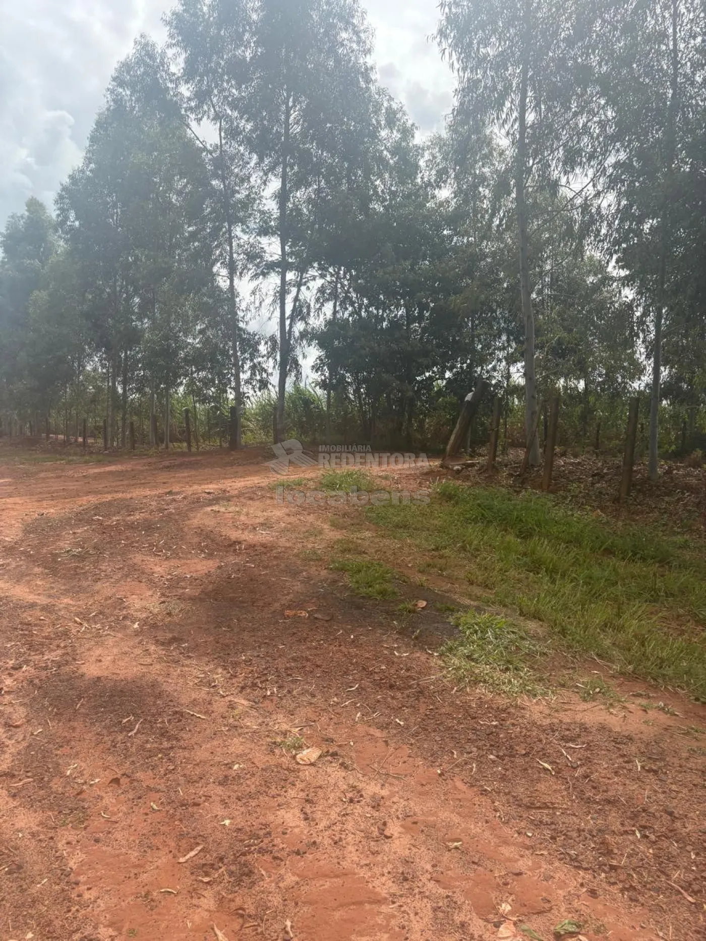 Fazenda, 7 hectares - Foto 60