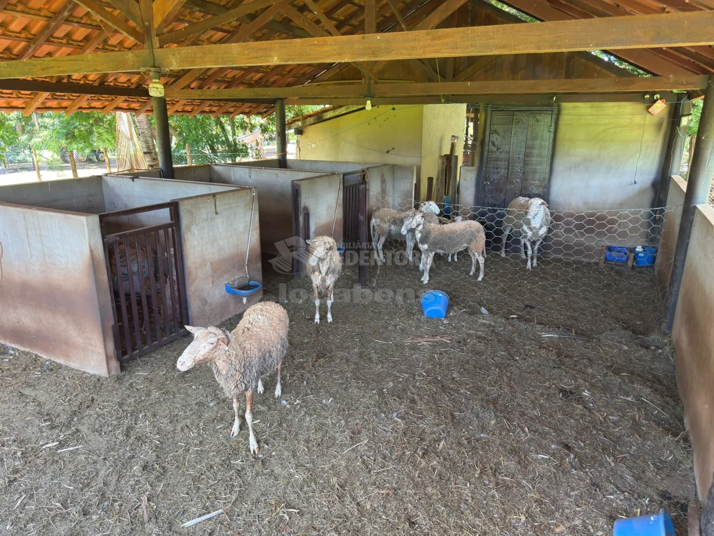 Sítio, 3 quartos, 6 hectares - Foto 131