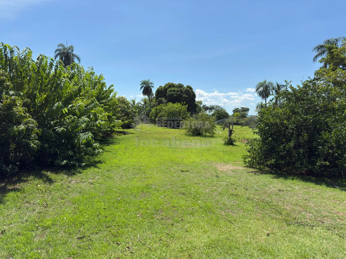 Sítio, 3 quartos, 6 hectares - Foto 90