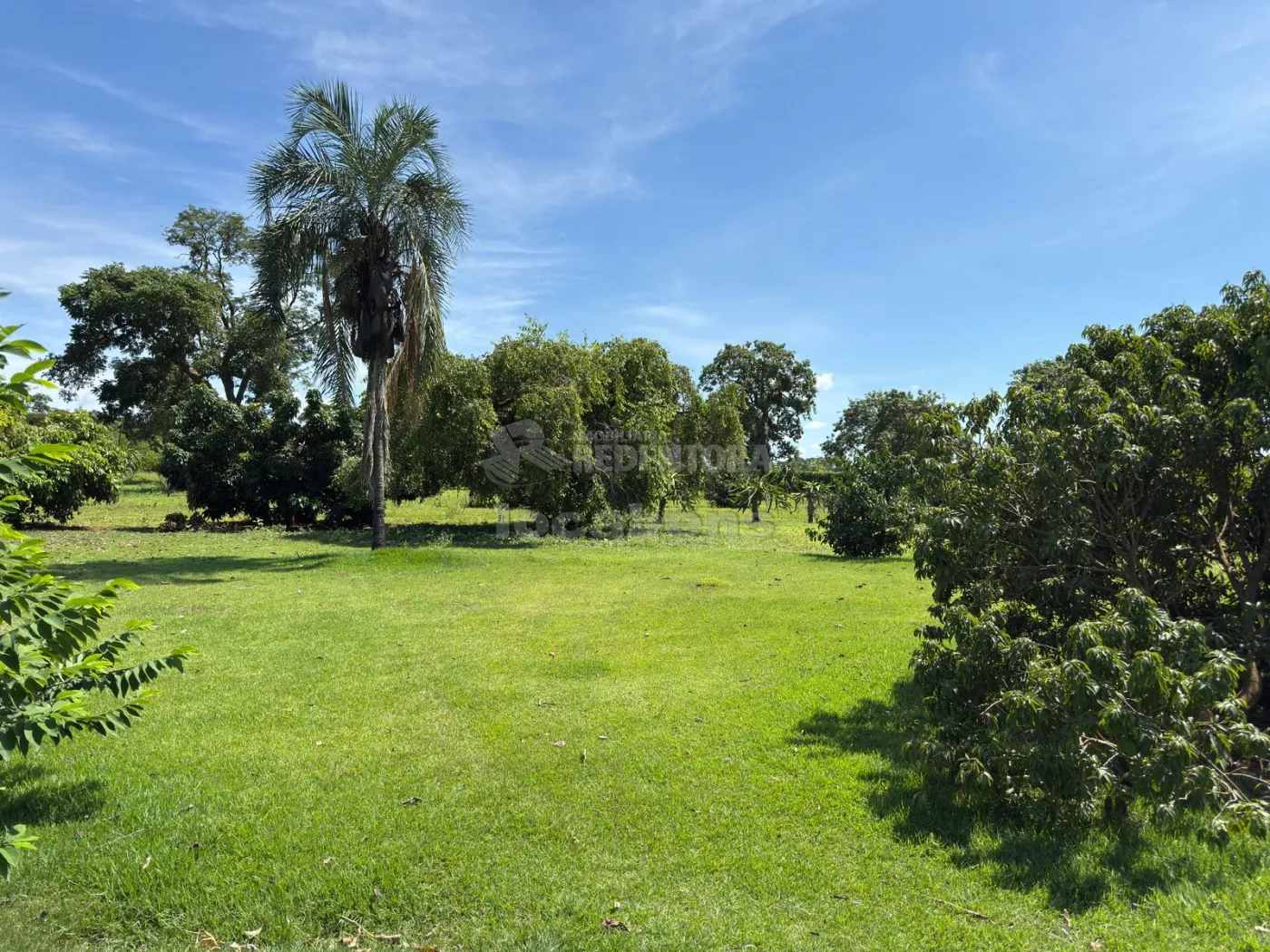 Sítio, 3 quartos, 6 hectares - Foto 4