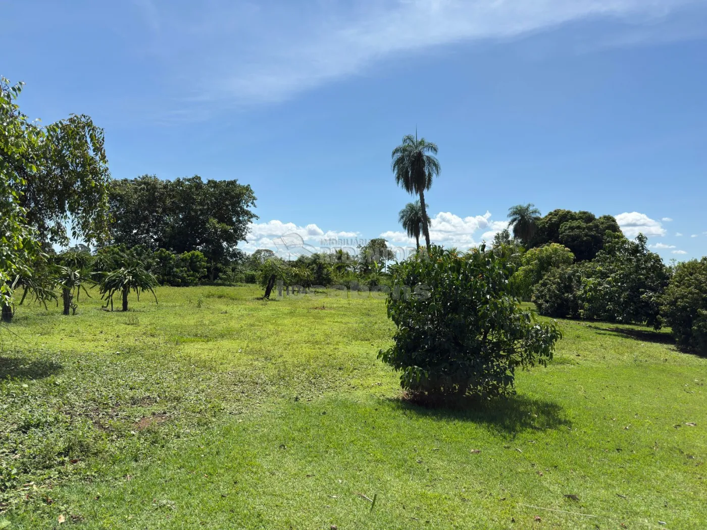 Sítio, 3 quartos, 6 hectares - Foto 98