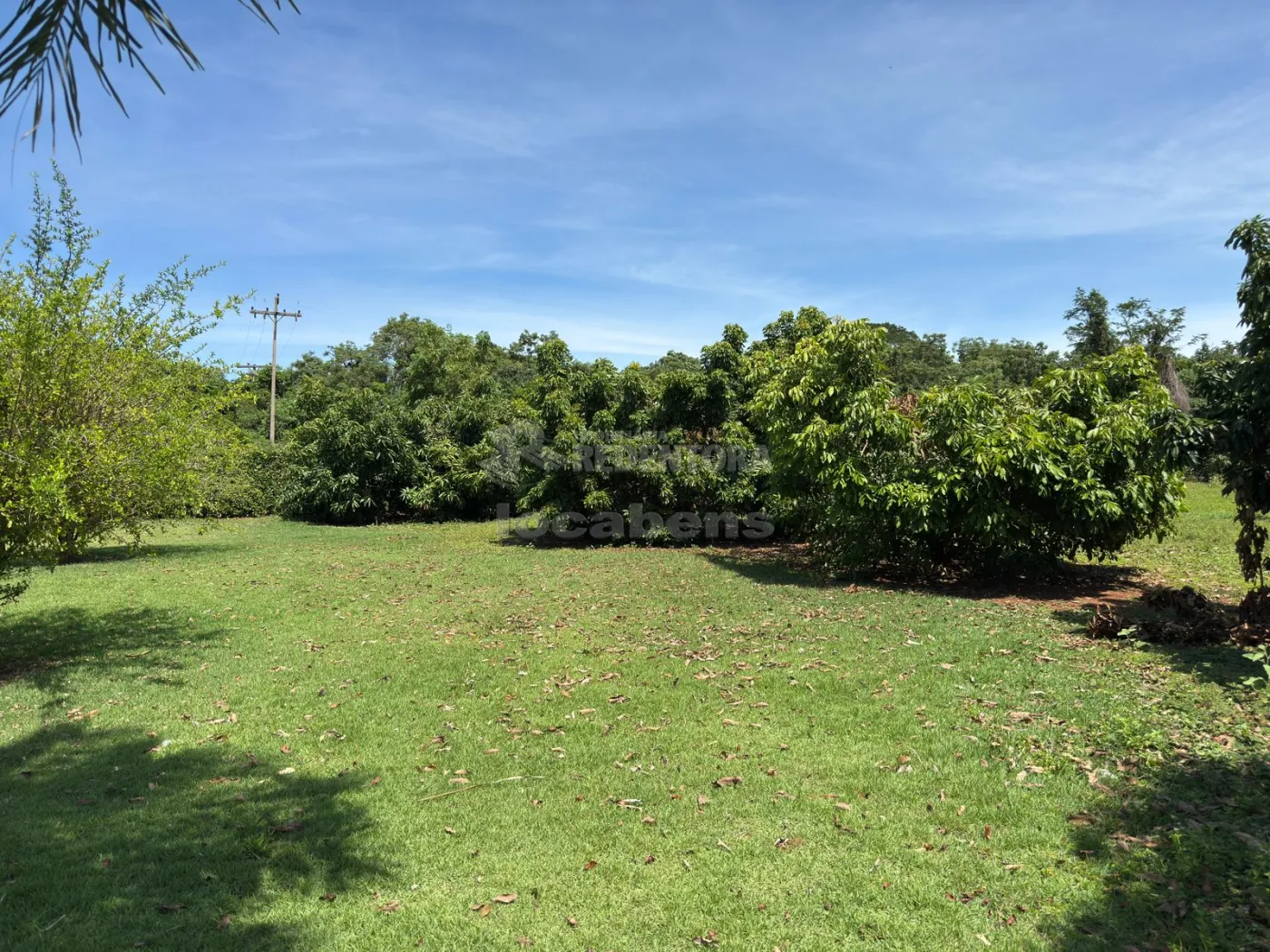 Sítio, 3 quartos, 6 hectares - Foto 100