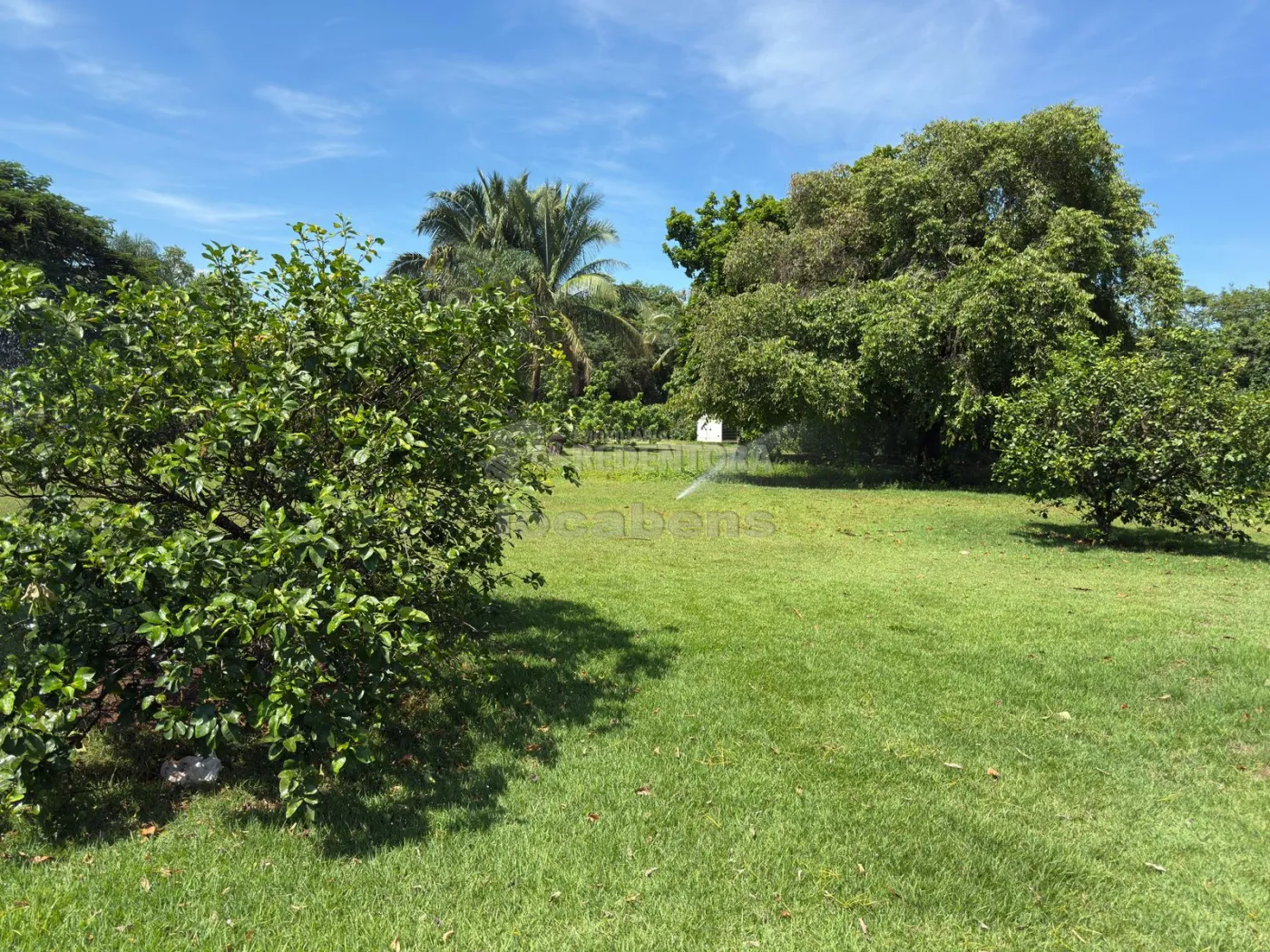 Sítio, 3 quartos, 6 hectares - Foto 102