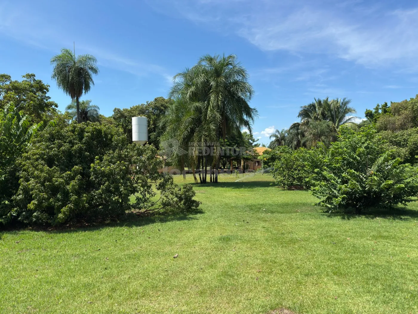 Sítio, 3 quartos, 6 hectares - Foto 104