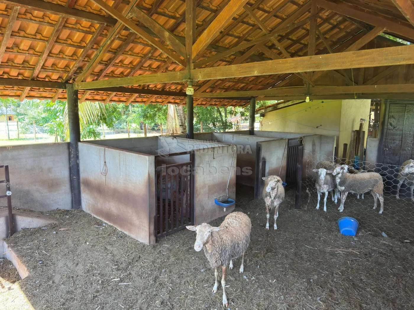 Sítio, 3 quartos, 6 hectares - Foto 129