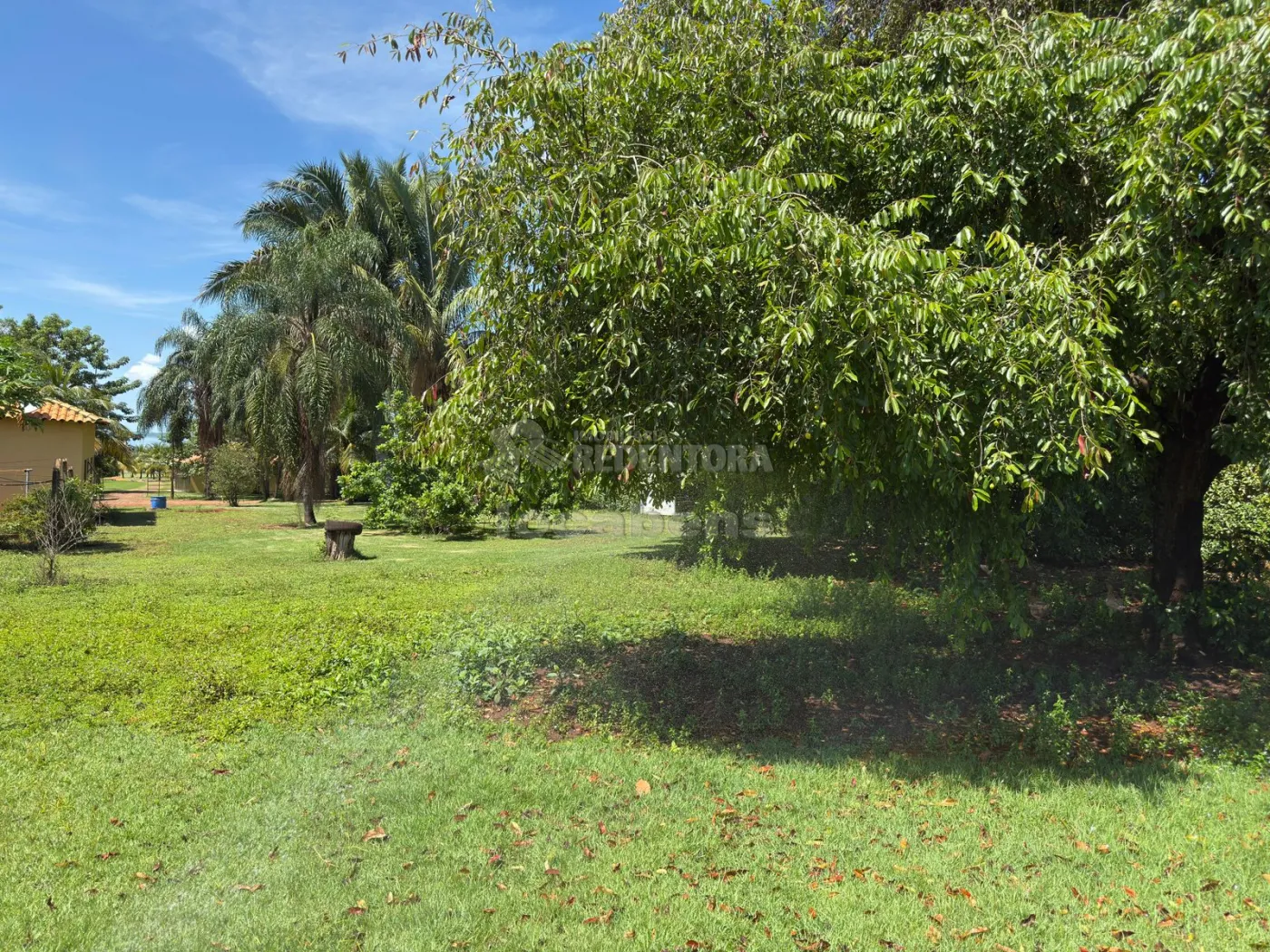 Sítio, 3 quartos, 6 hectares - Foto 80