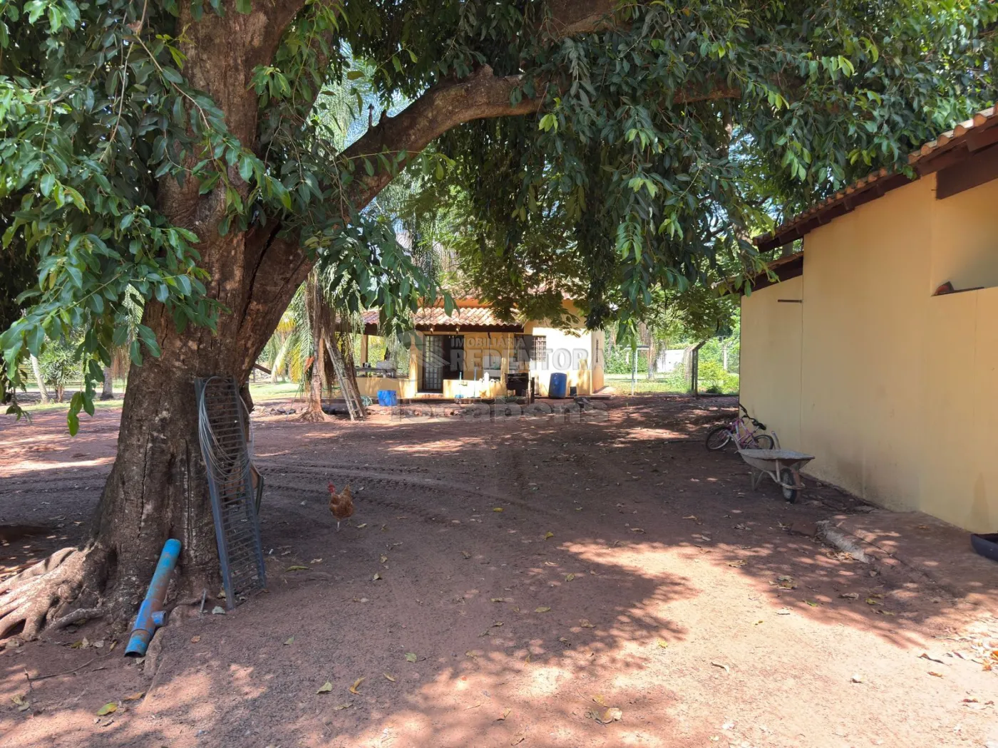 Sítio, 3 quartos, 6 hectares - Foto 83