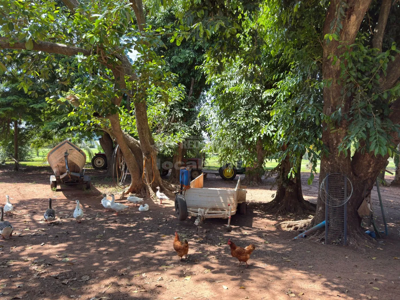 Sítio, 3 quartos, 6 hectares - Foto 88