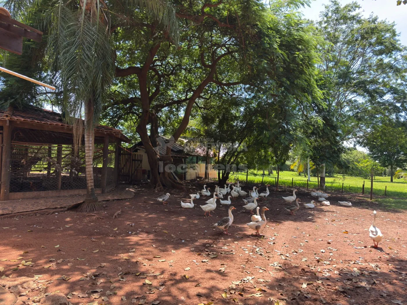 Sítio, 3 quartos, 6 hectares - Foto 121