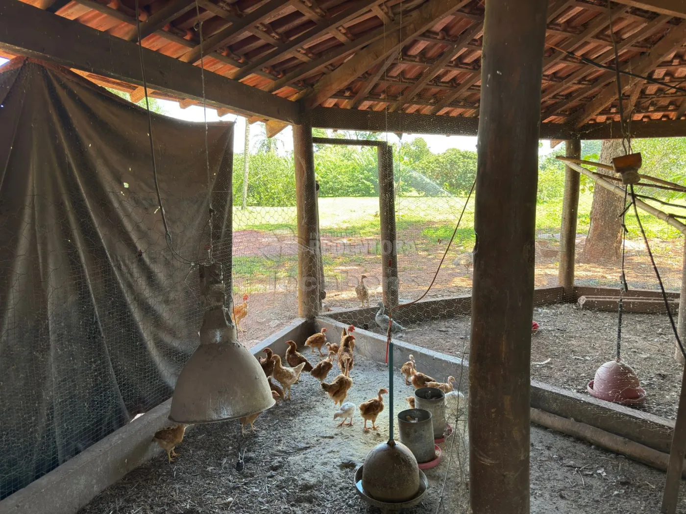 Sítio, 3 quartos, 6 hectares - Foto 128