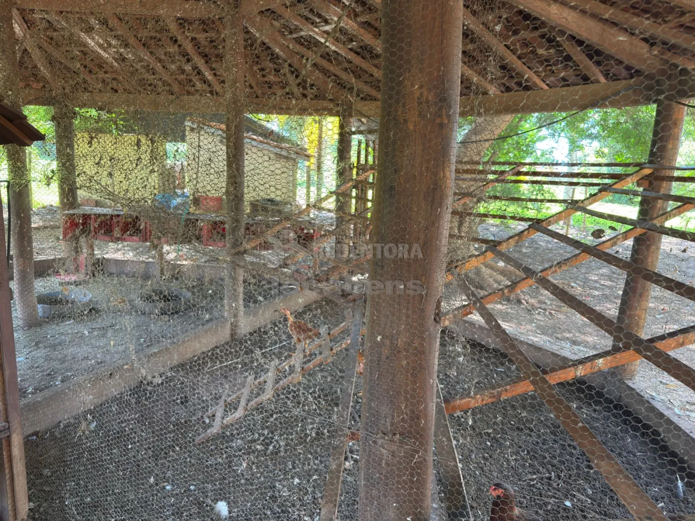 Sítio, 3 quartos, 6 hectares - Foto 130